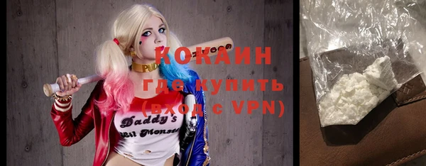 тгк Няндома