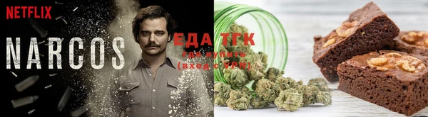 тгк Няндома