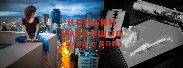 тгк Няндома