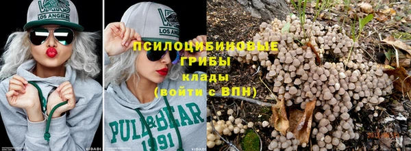 молекула духа Нязепетровск
