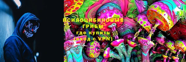 трава Новозыбков