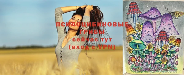 трава Новозыбков