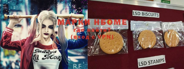 трава Новозыбков